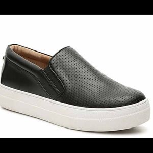 Steve Madden Giovanna sneaker